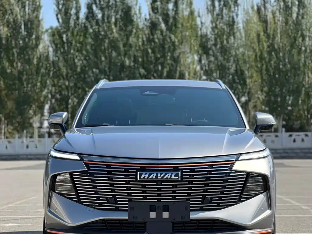 Haval Shenshou — миниатюра 2