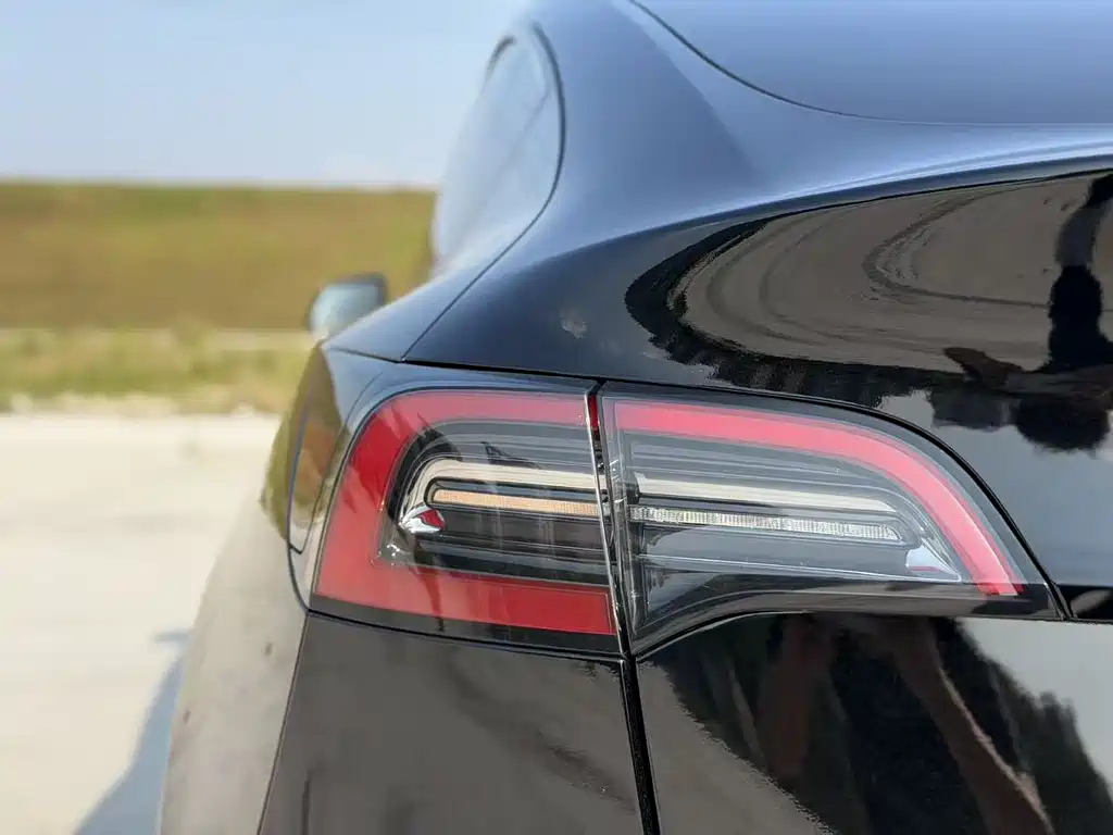 Tesla Model Y — миниатюра 16