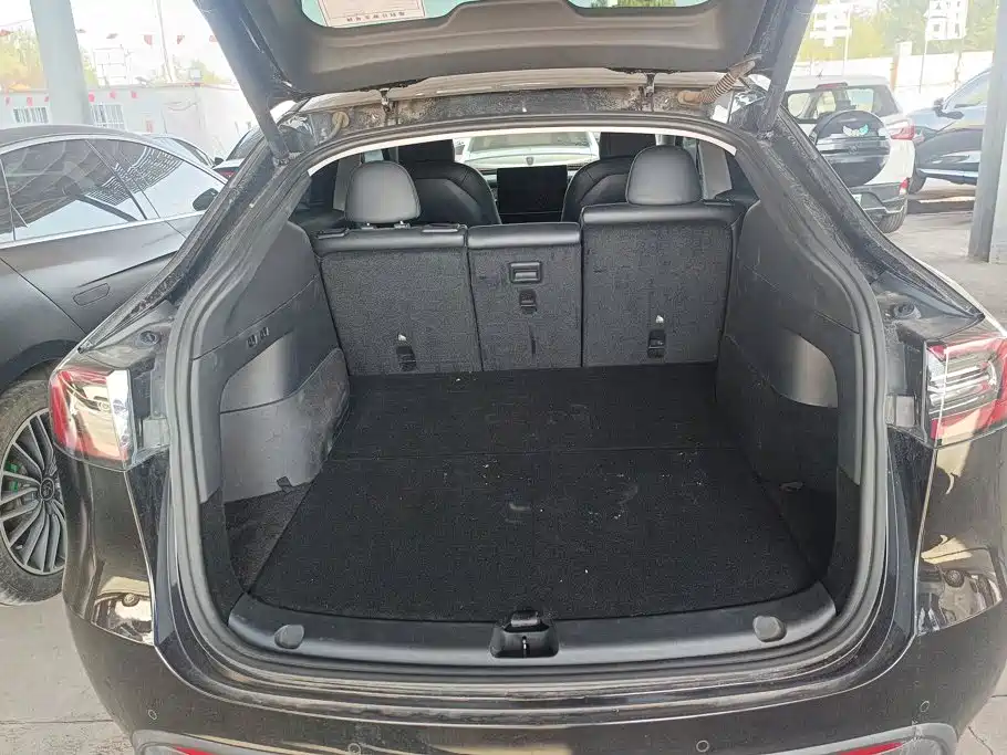 Tesla Model Y — миниатюра 4