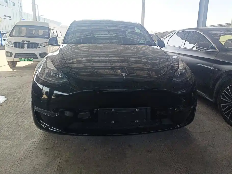 Tesla Model Y — миниатюра 2