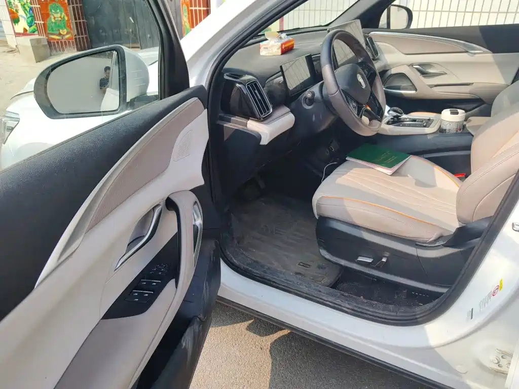 BYD Pro New Energy — миниатюра 17