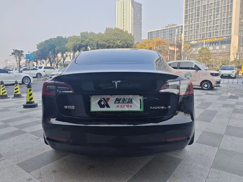 Tesla Model 3 — миниатюра 5