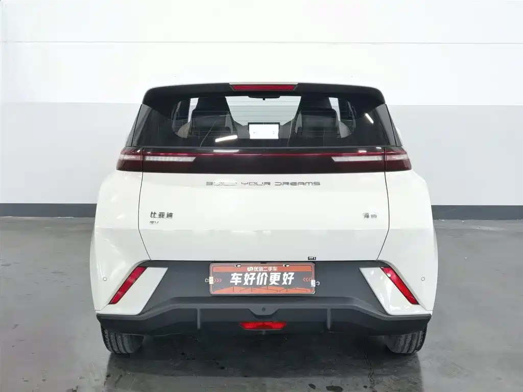 BYD Seagull