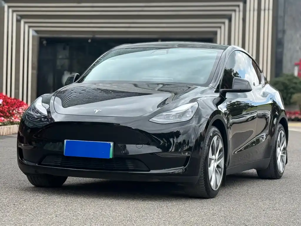 Tesla Model Y — миниатюра 3