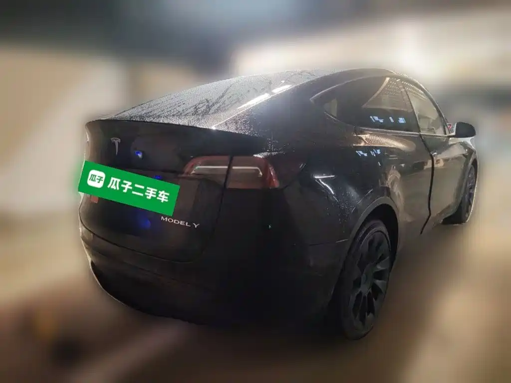 Tesla Model Y — миниатюра 7