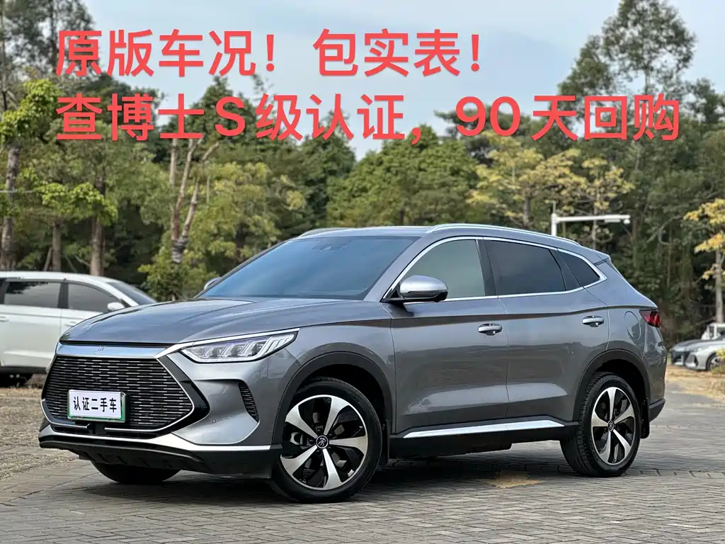 BYD SONGJIANG NEW ENERGY