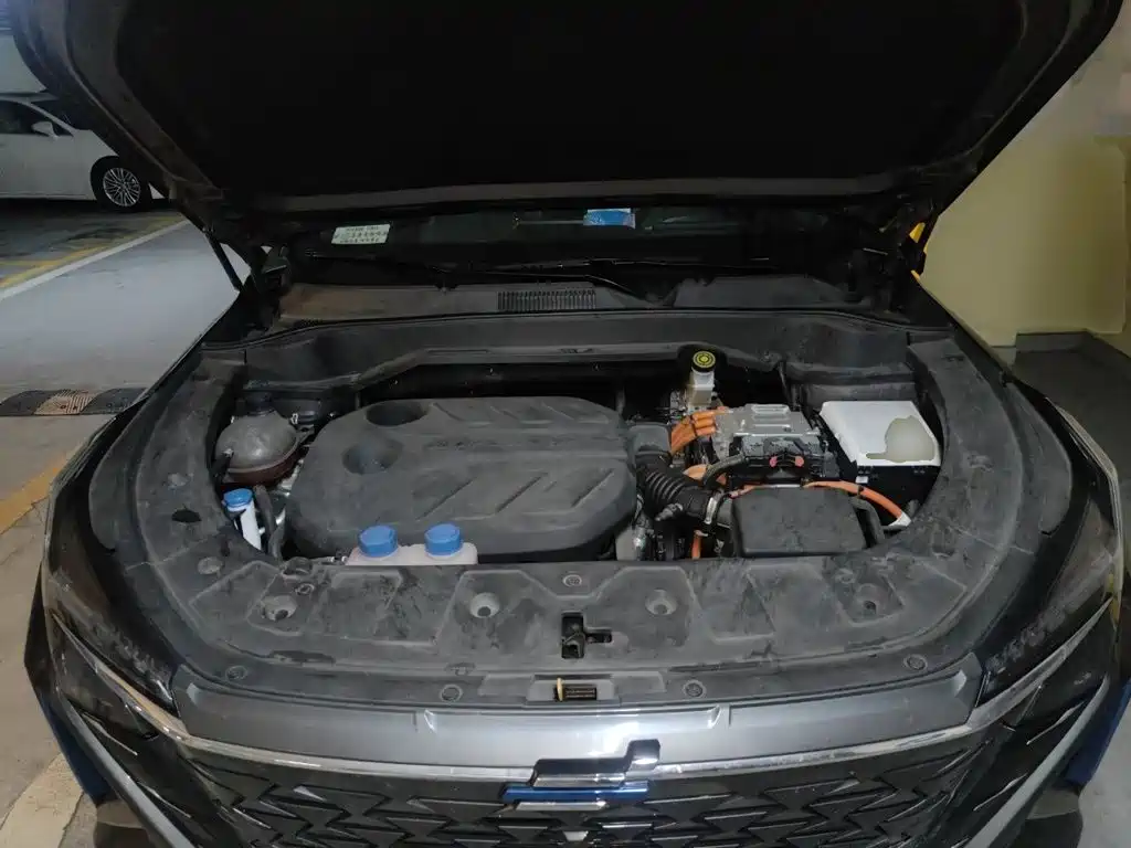 Oshan Oushang Z6 New Energy — миниатюра 11