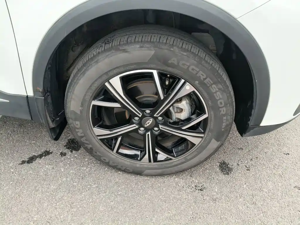 Chery Tiggo 7 PLUS NEV — миниатюра 8
