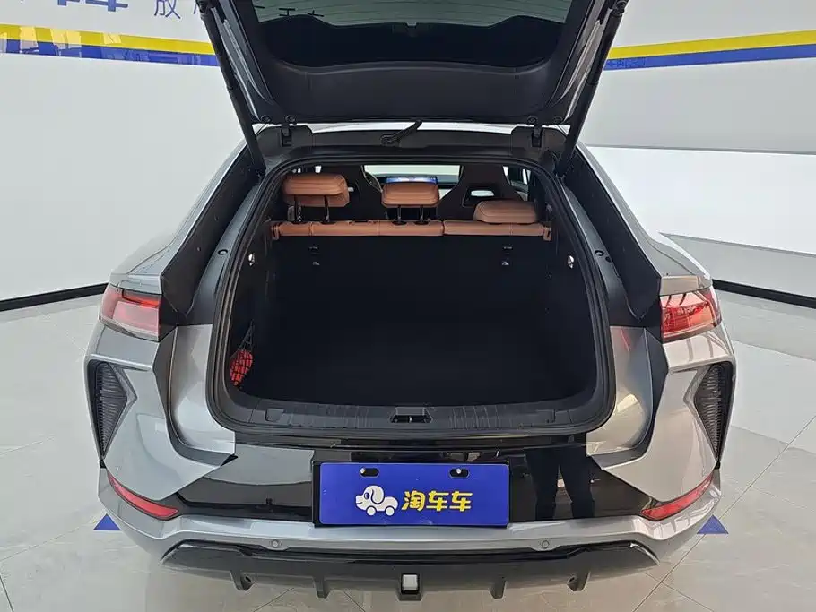BYD L EV — миниатюра 4