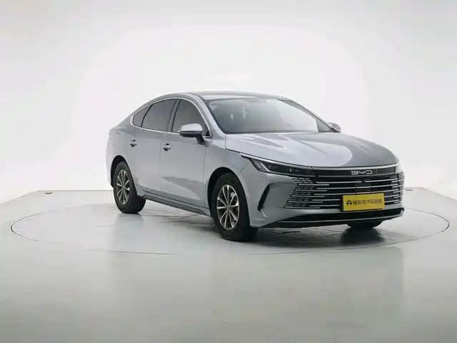 BYD Destroyer 05 2024 DM-i 55KM Luxury