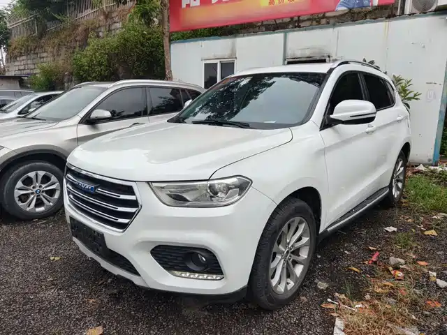 2018 Haval H2