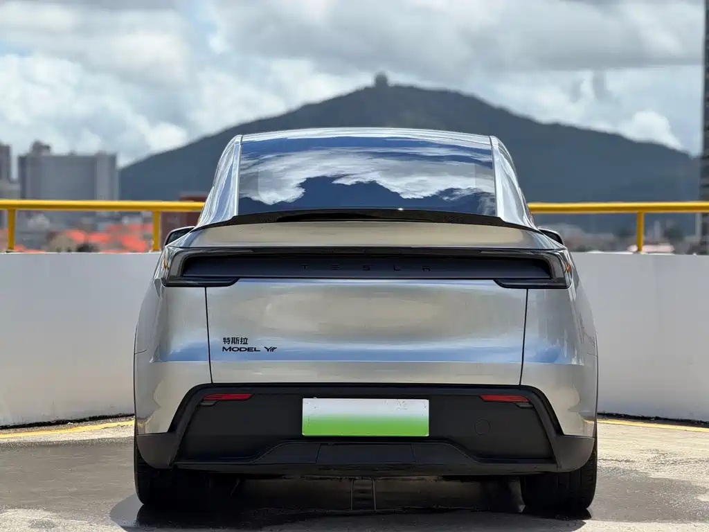 Tesla Model Y L