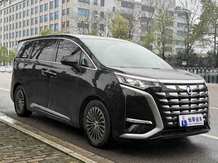 Denza Denza D9 — миниатюра 3