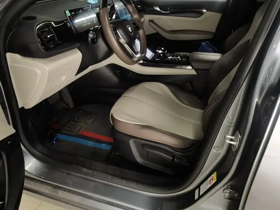 BYD Qin Plus PLUS 2024 DM-i 55KM Lead