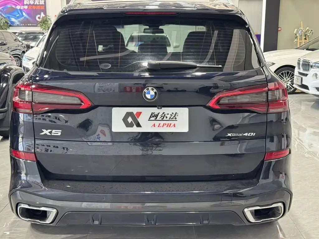 BMW X5 (Import) — миниатюра 5