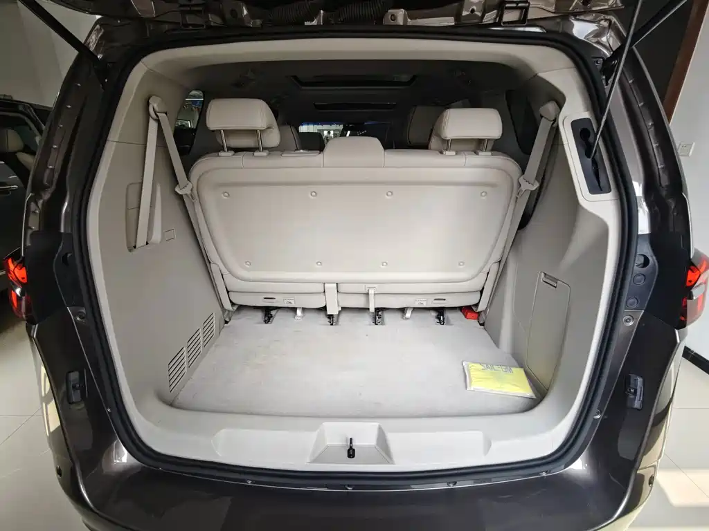 Buick GL8 — миниатюра 17