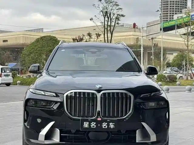 BMW X7 — миниатюра 10