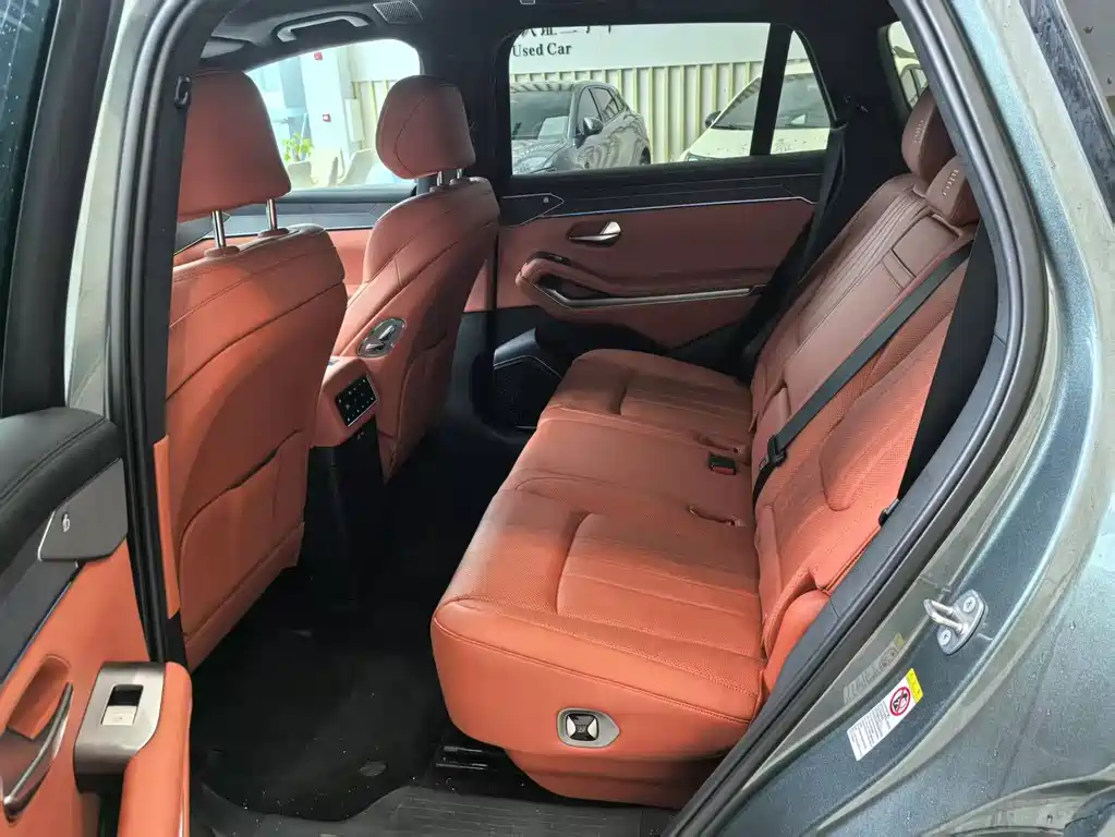 BYD Дон Л. — миниатюра 6
