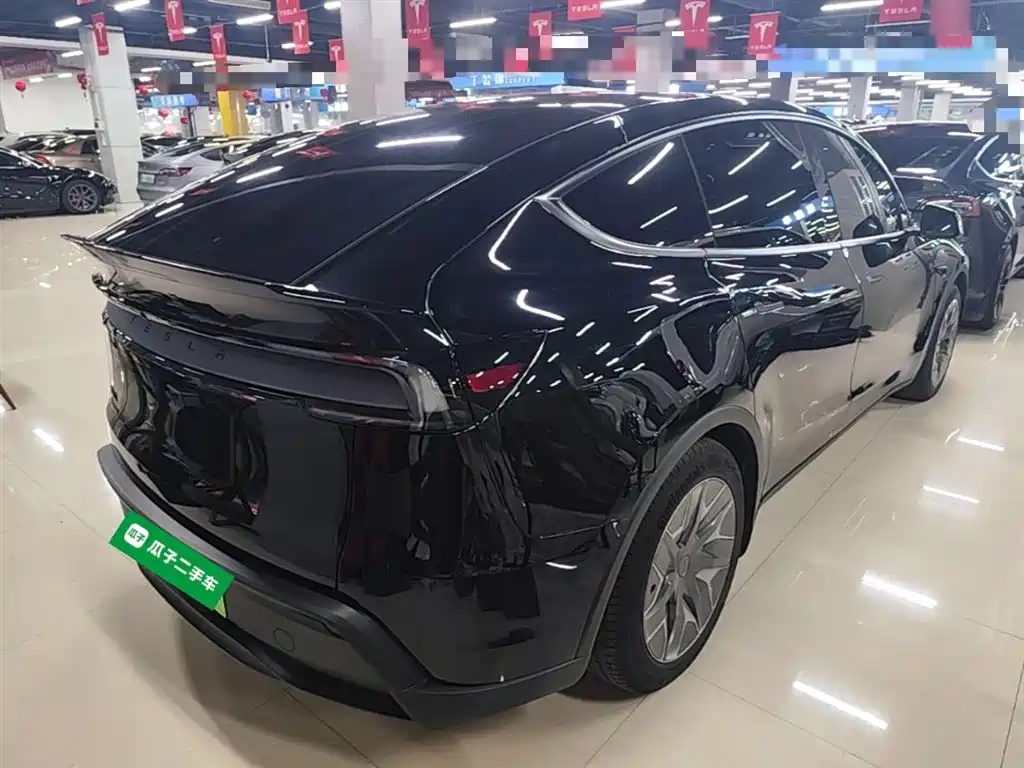 Tesla Model Y L