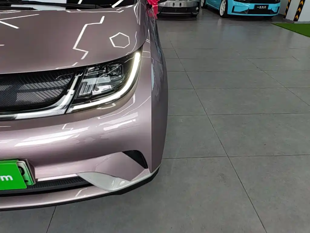 BYD Dolphin - фото 24