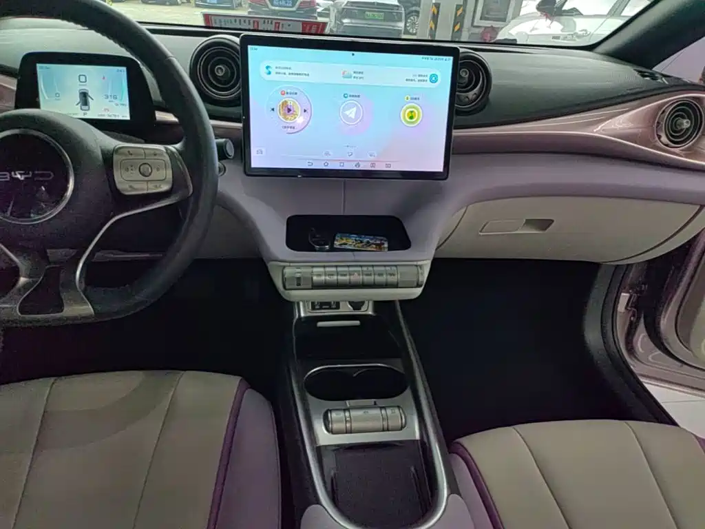 BYD Dolphin - фото 13