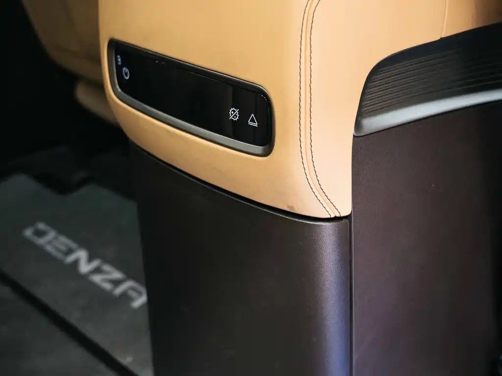 Denza Denza D9 — миниатюра 19