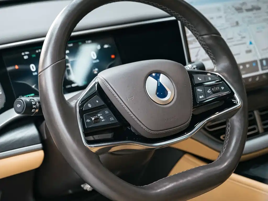 Denza Denza D9 — миниатюра 16