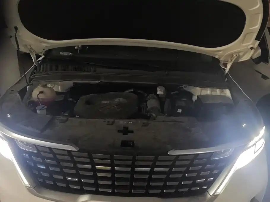 Kia Carnival — миниатюра 10