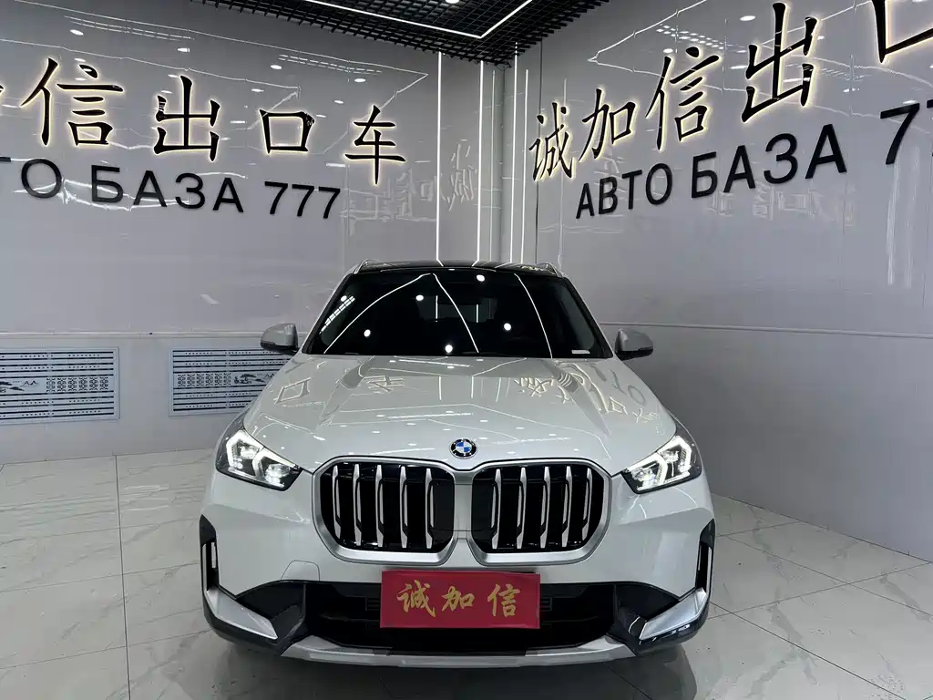 BMW X1 — миниатюра 2