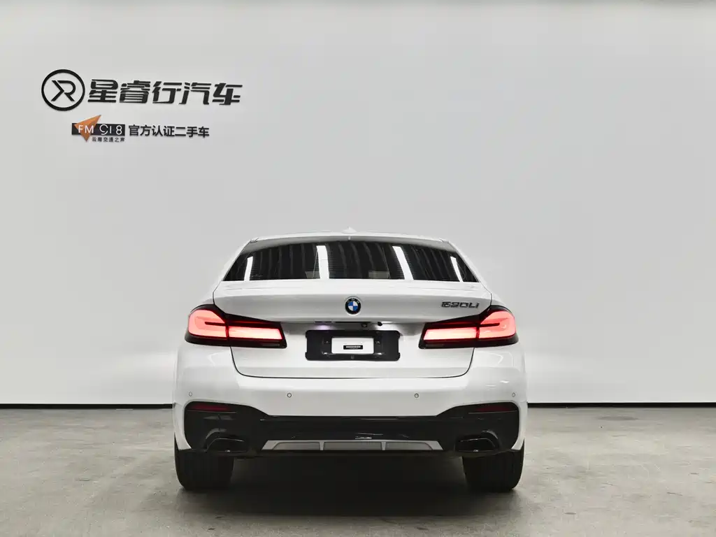 BMW 5 Series 5 2021 530Li Lead M Sport