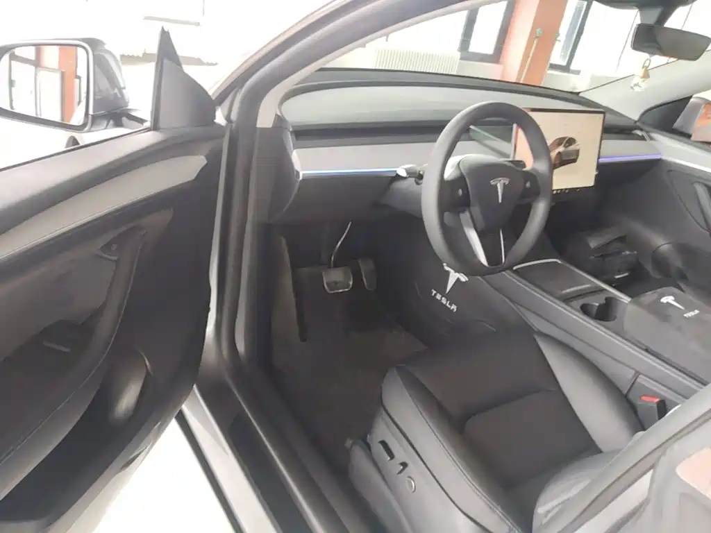 Tesla Model Y — миниатюра 16