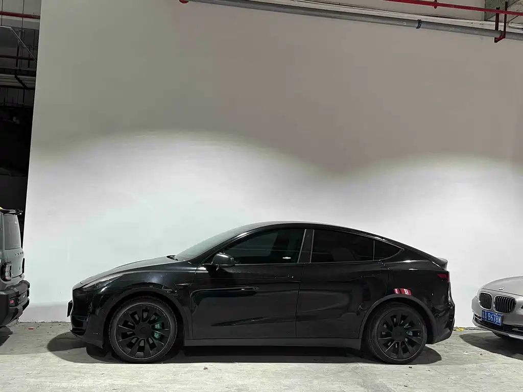Tesla Model Y — миниатюра 7