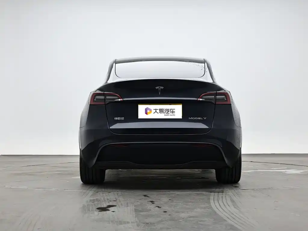 Tesla Model Y — миниатюра 4