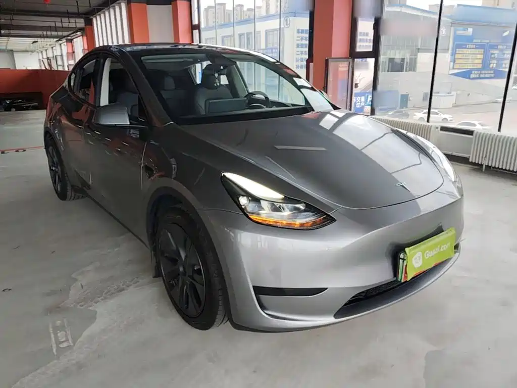 Tesla Model Y — миниатюра 4