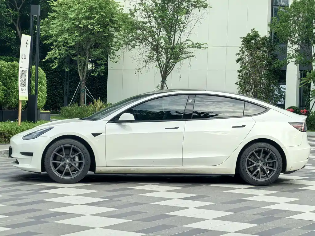 Tesla Model 3 2021 3D6