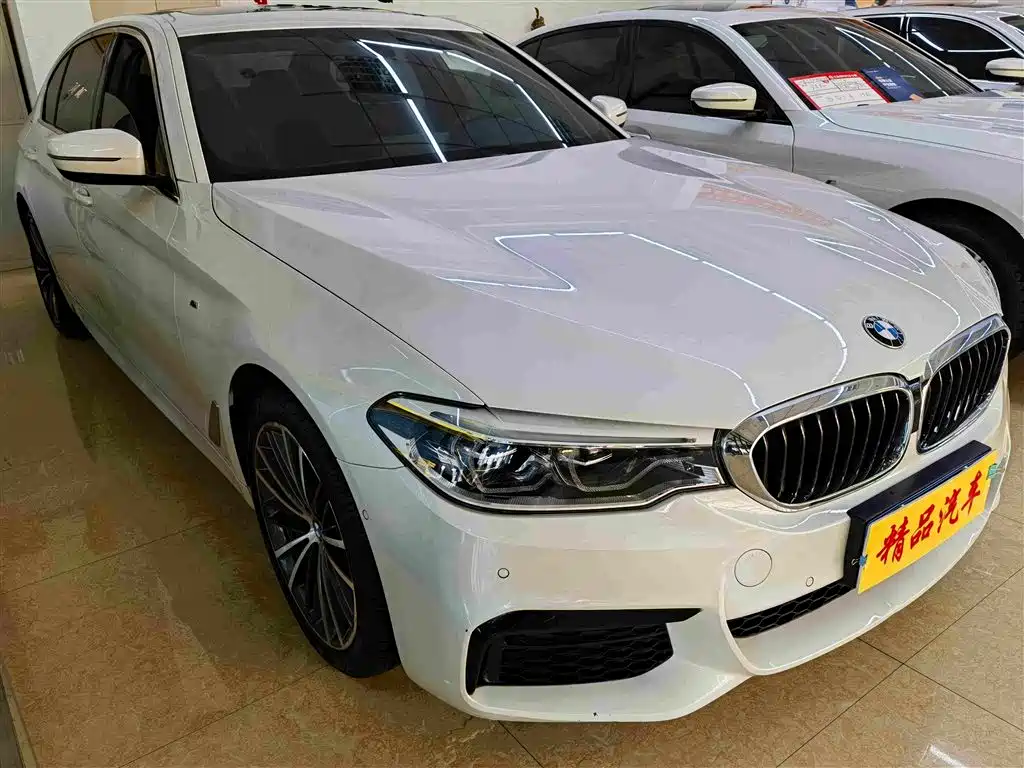 BMW 5 Series — миниатюра 2