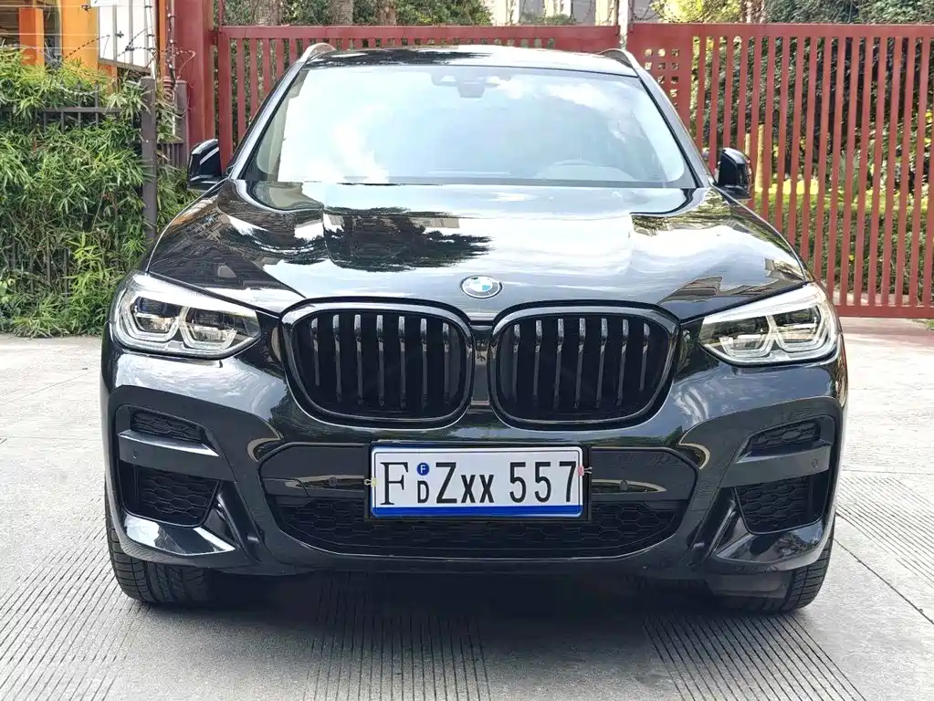 BMW X3 — миниатюра 2