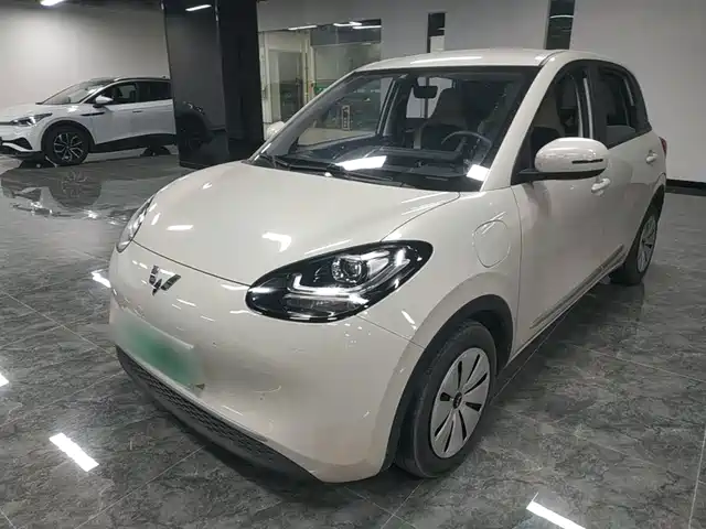 WULING AUTOMOBILE WULING BINGGUO 2023