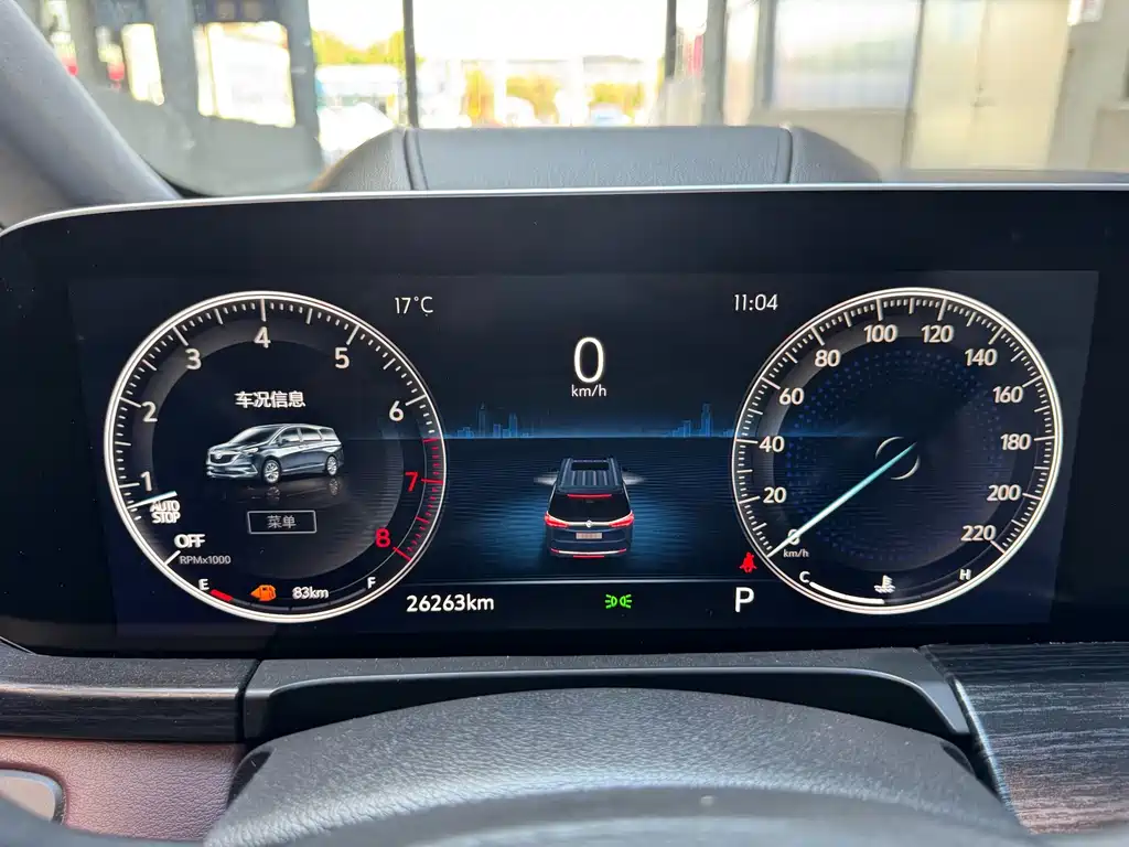 Buick GL8 — миниатюра 16