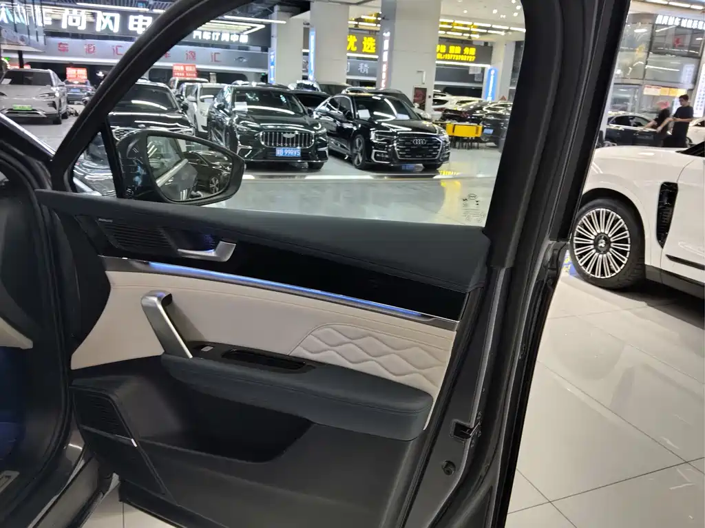 BYD Tang New Energy — миниатюра 17