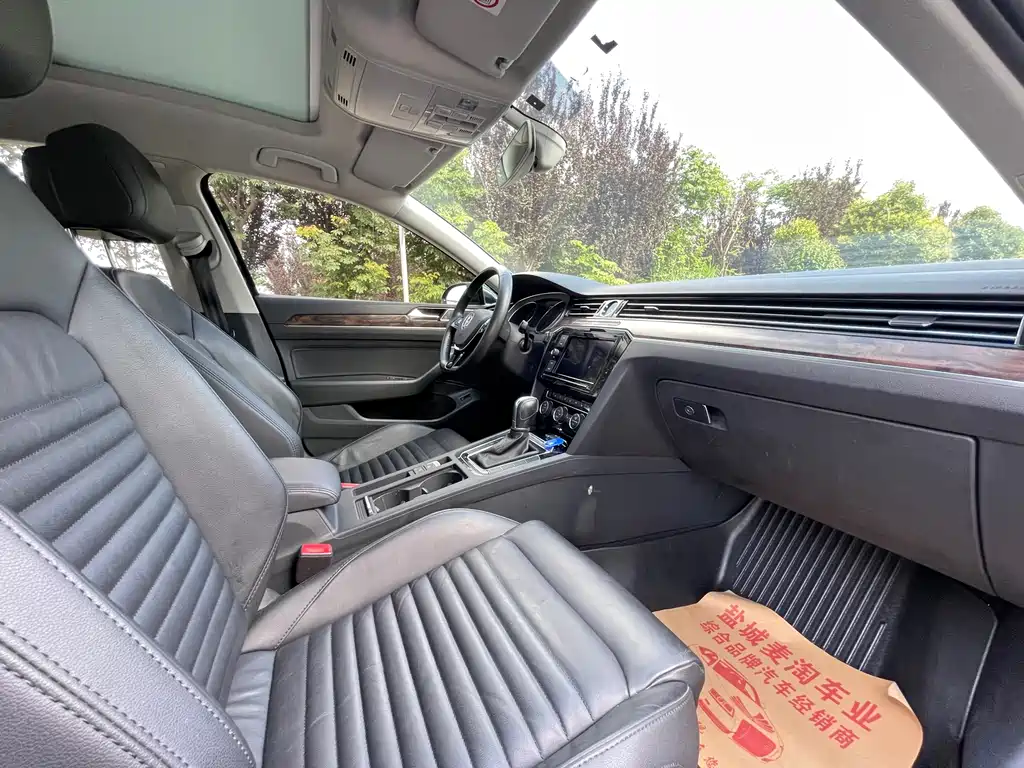 Volkswagen Magotan 2019 330TSI DSG Luxury VI