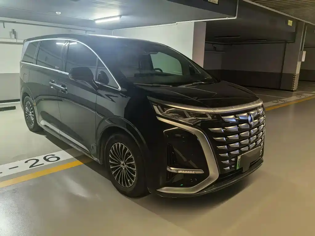 Denza Denza D9 — миниатюра 3