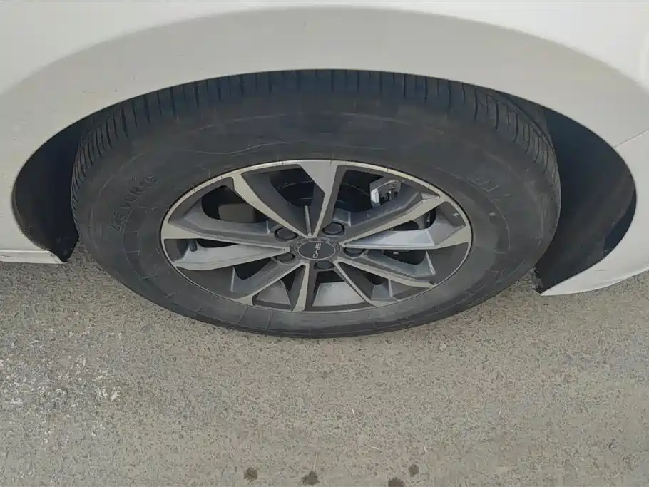 BYD Destroyer 05 2023 Champion DM-i 55KM Luxury
