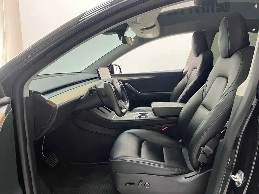 Tesla Model Y — миниатюра 3
