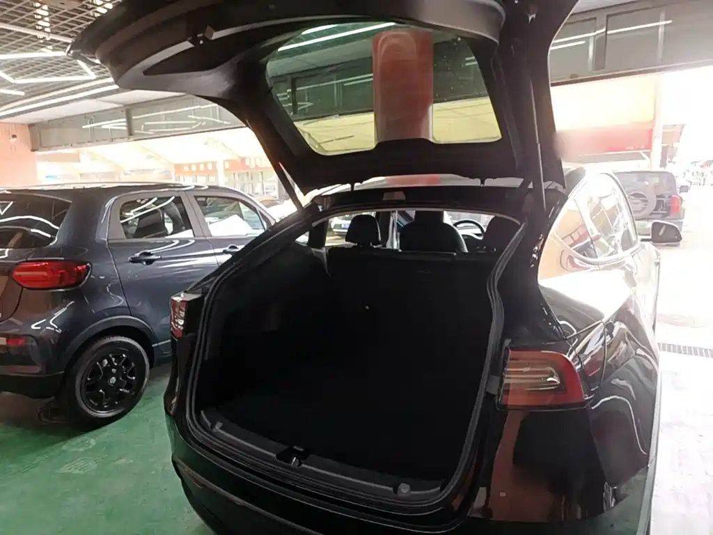 Tesla Model Y — миниатюра 19