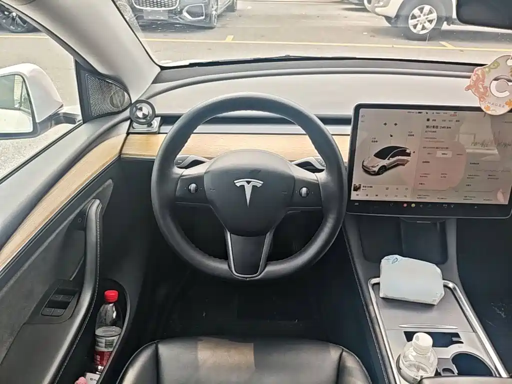 Tesla Model Y — миниатюра 11