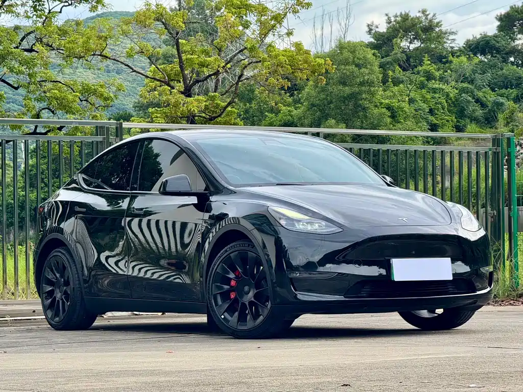 Tesla Model Y — миниатюра 3