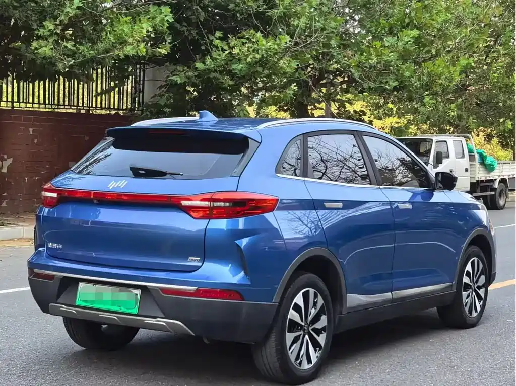 WM Motor EX5 — миниатюра 6