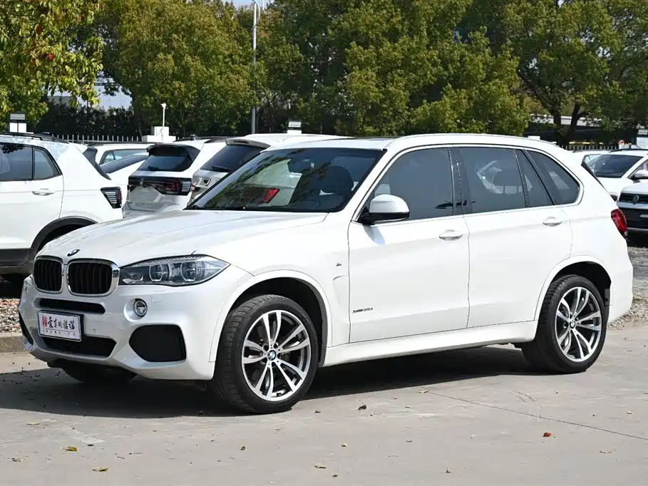 BMW X5 (Import) 2017