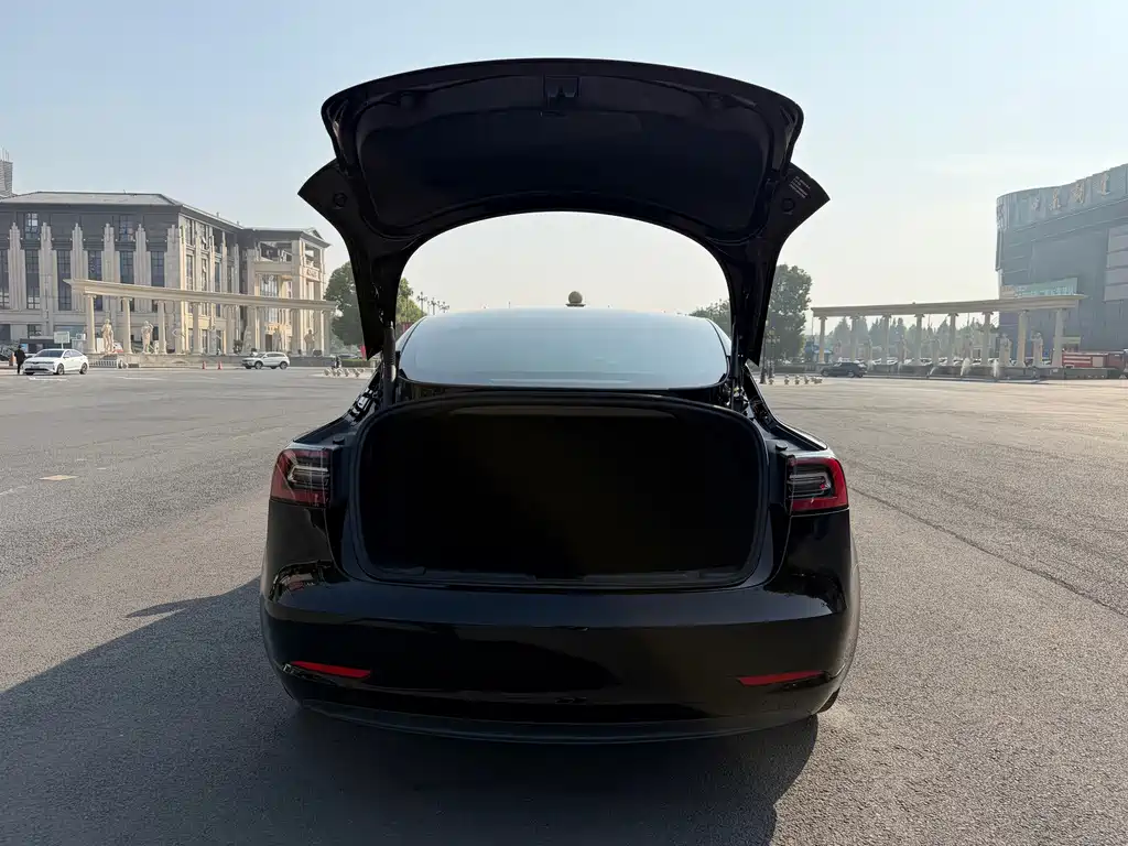 Tesla Model 3 — миниатюра 17